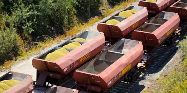 ecorail tranport s'occupe du fret ferroviaire pour vos produits cerealiers ecorail transport est Membre du réseau Captrain Europe