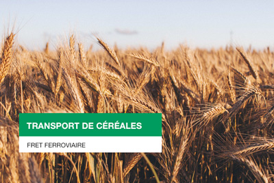 ecorail transport s'occupe du transport ferroviaire ou fret feroviaire de vos produits cerealiers en france sur le reseau SNCF. Membre du réseau Captrain Europe